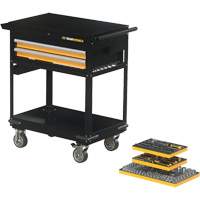 Mechanics Tool Set in Modular Foam Trays with Storage Unit, 194 Pieces Ottawa Fastener Supply