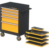 Mechanics Tool Set in Modular Foam Trays with Storage Unit, 247 Pieces Ottawa Fastener Supply