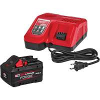 Ensemble de batterie de d&eacute;marrage M18 Redlithium Forge XC8.0, 18 V, Lithium-ion Ottawa Fastener Supply