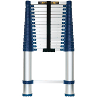 Telescopic Ladder, 3' - 15.5', Aluminum, 250 lbs. Capacity, Type 1 VC252 | Ottawa Fastener Supply