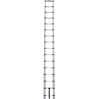 Telescopic Ladder, 3' - 15.5', Aluminum, 250 lbs. Capacity, Type 1 VC252 | Ottawa Fastener Supply