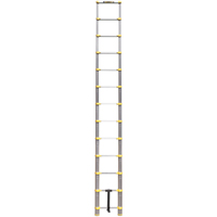 Telescopic Ladder, 3' - 12', Aluminum, 250 lbs. Capacity, Type 1 VC441 | Ottawa Fastener Supply