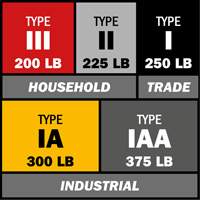 Step Ladder with Paint Tray, 10', Aluminum, 225 lbs. Capacity, Type 2 Ottawa Fastener Supply