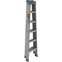 Step Ladder, 6', Fibreglass, 225 lbs. Capacity, Type 2 Ottawa Fastener Supply