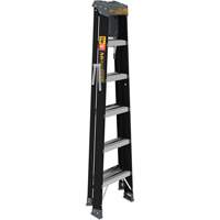 Step Ladder with Paint Tray, 6', Fibreglass, 250 lbs. Capacity, Type 1 Ottawa Fastener Supply