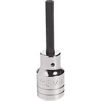 Embout &agrave; ins&eacute;rer, Hexagonale, 18 mm x 4" lo, Prise 1/2" Ottawa Fastener Supply