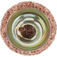 Standard Abrasives Quick-Change Surface Conditioning Disc, 3/4" Dia., Coarse Grit, Aluminum Oxide Ottawa Fastener Supply