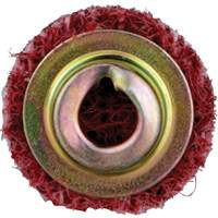 Standard Abrasives Quick-Change Surface Conditioning Disc, 3/4" Dia., Medium Grit, Aluminum Oxide Ottawa Fastener Supply