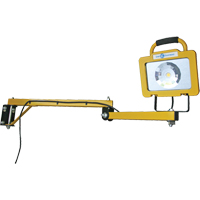 Heavy-Duty Dock Light, 40" Arm, 38 W, LED Lamp, Metal Ottawa Fastener Supply