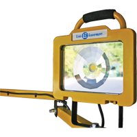 Heavy-Duty Dock Light, 40" Arm, 38 W, LED Lamp, Metal Ottawa Fastener Supply