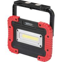 Portable Work Light, LED, 10 W, 1000 Lumens, Plastic Housing Ottawa Fastener Supply