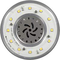 Lampe haute luminosité Ultra LED<sup>MC</sup>, DHI, 36 W, 4800 lumens, base Mogul XI556 | Ottawa Fastener Supply