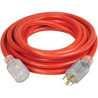 Generator Extension Cord with Quad Tap, 10 AWG, 30 A, 4 Outlet(s), 25' XI765 | Ottawa Fastener Supply