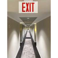 Exit Sign, LED, Battery Operated/Hardwired, 12-1/5" L x 7-1/2" W, English XI788 | Ottawa Fastener Supply