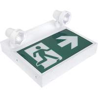 Running Man Sign with Security Lights, LED, Battery Operated/Hardwired, 12-1/10" L x 11" W, Pictogram XI790 | Ottawa Fastener Supply