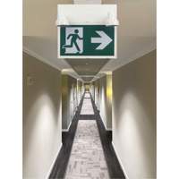 Running Man Sign with Security Lights, LED, Battery Operated/Hardwired, 12-1/10" L x 11" W, Pictogram Ottawa Fastener Supply