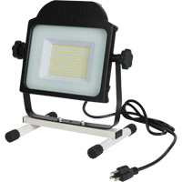 Floodlight, LED, 100 W, 10000 Lumens Ottawa Fastener Supply