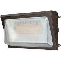 Wall Pack Light Fixture, LED, 120 -347 V, 40 W Ottawa Fastener Supply