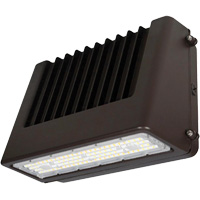 Wall Pack Light Fixture, LED, 120 V, 80 W, 6.5" H x 9.3" W x 14.4" D Ottawa Fastener Supply