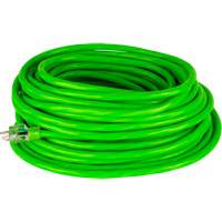 Extension Cords & Reels