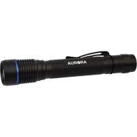 IPX7 Flashlight, LED, 250 Lumens, AA Batteries Ottawa Fastener Supply